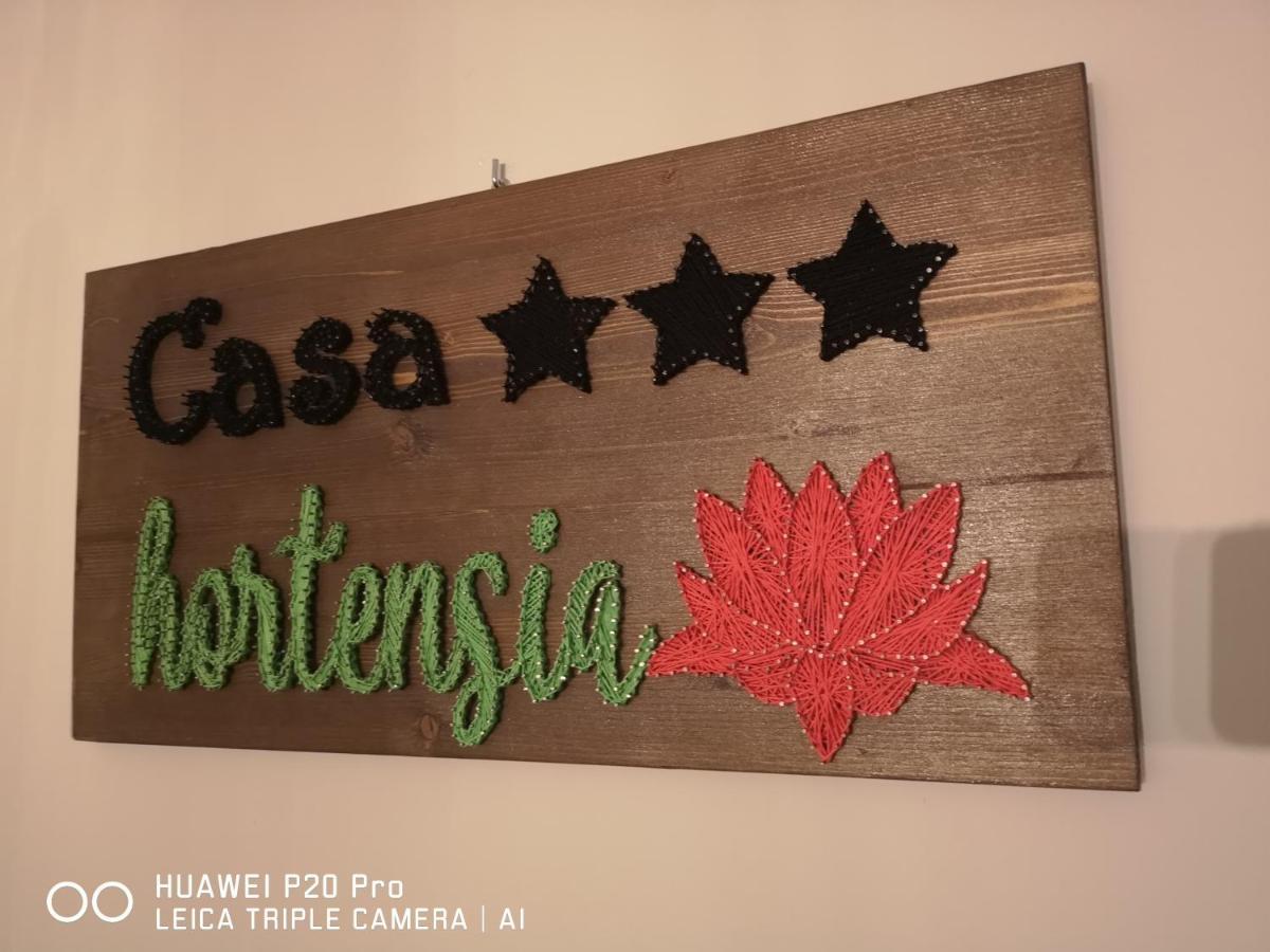 Casa Hortensia Tasnad Exterior photo